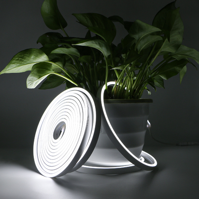 20×10mm LED Fléchir Lumière au néon, corde Fléchirible imperméable de la lampe au néon IP67