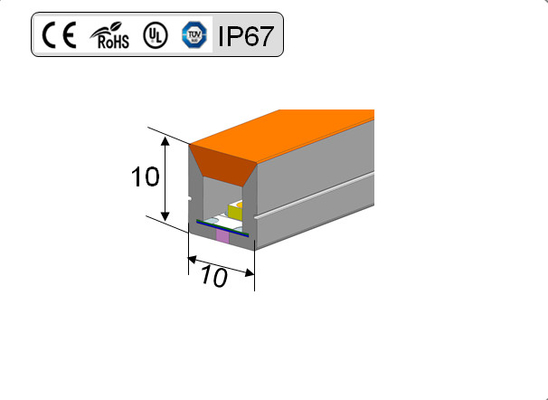 Couleur au néon imperméable de la lumière de bande d'IP65 SMD LED RVB changeant 24V 12V