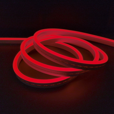 Couleur au néon imperméable de la lumière de bande d'IP65 SMD LED RVB changeant 24V 12V